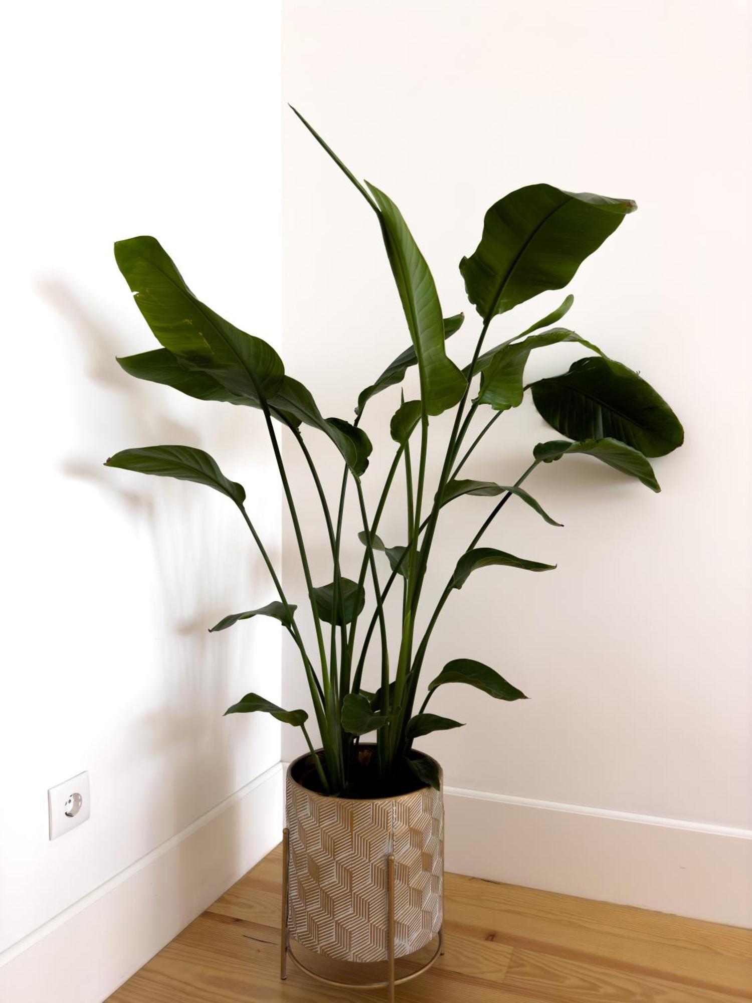 Vibrant Host Solutions-Bonfim Apartment Porto Bagian luar foto